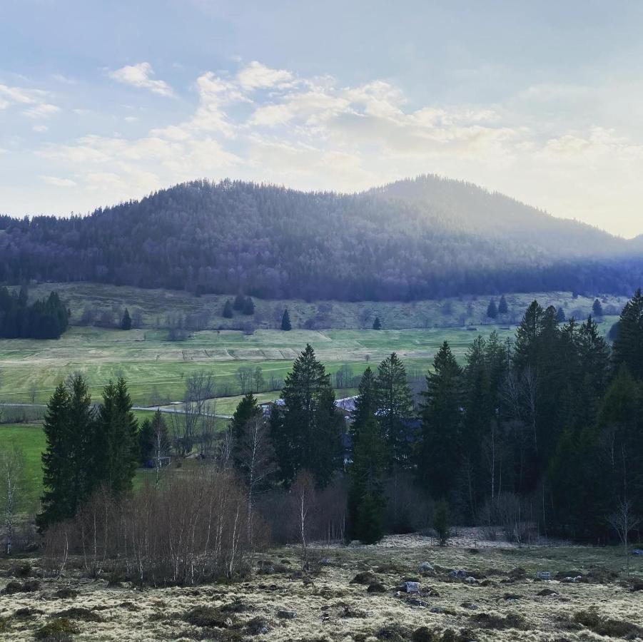 Hotel Hirschen Menzenschwand-Hinterdorf エクステリア 写真