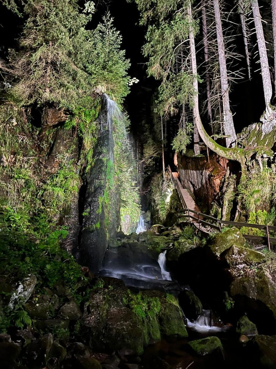 Hotel Hirschen Menzenschwand-Hinterdorf エクステリア 写真