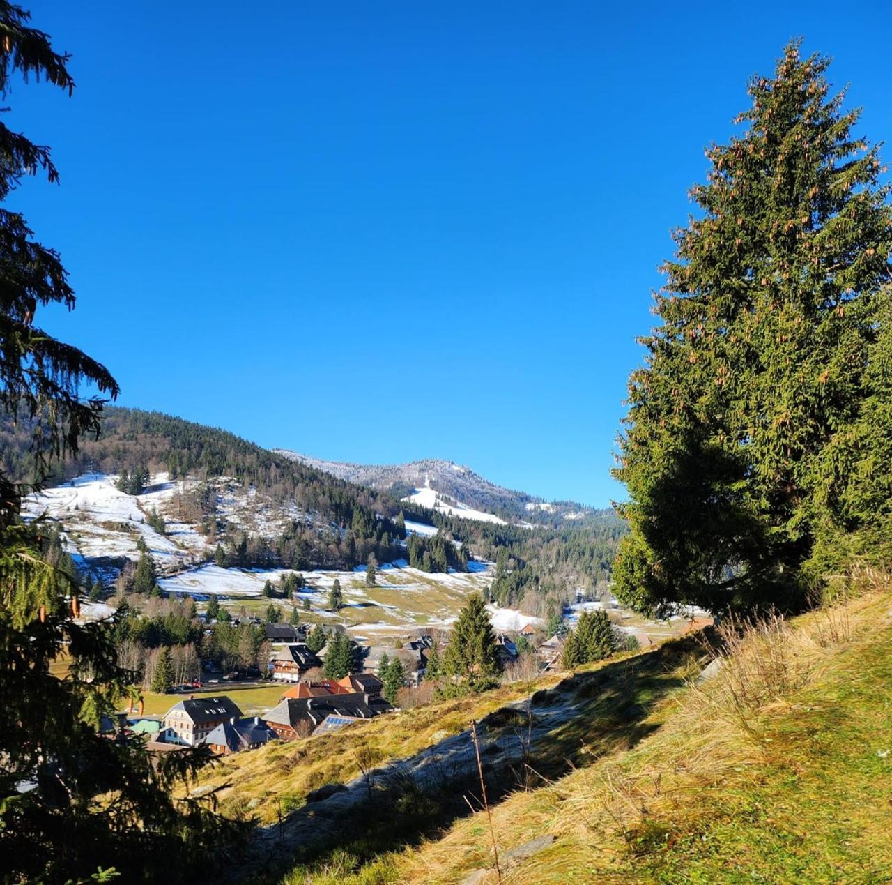 Hotel Hirschen Menzenschwand-Hinterdorf エクステリア 写真