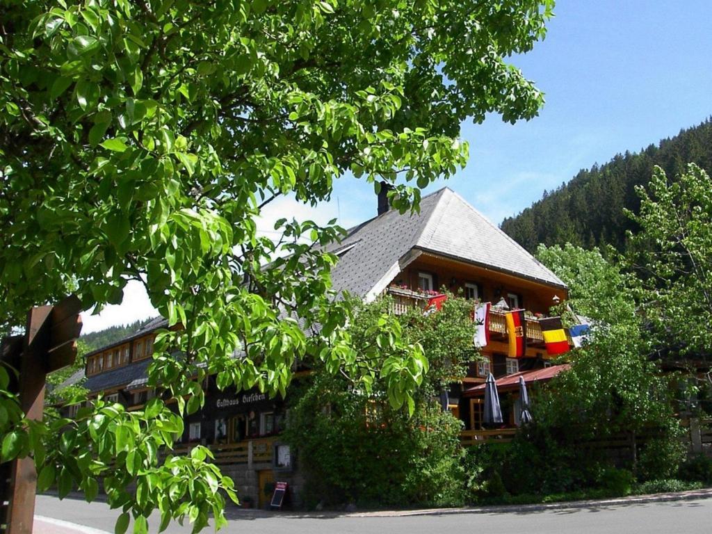 Hotel Hirschen Menzenschwand-Hinterdorf エクステリア 写真