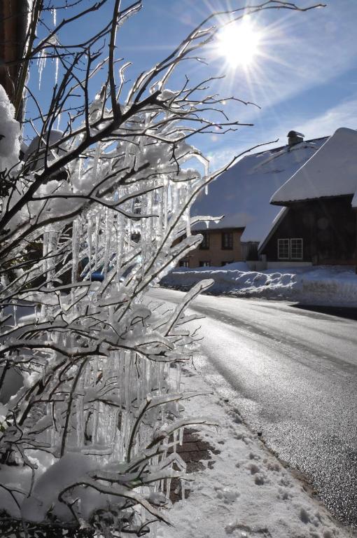 Hotel Hirschen Menzenschwand-Hinterdorf エクステリア 写真
